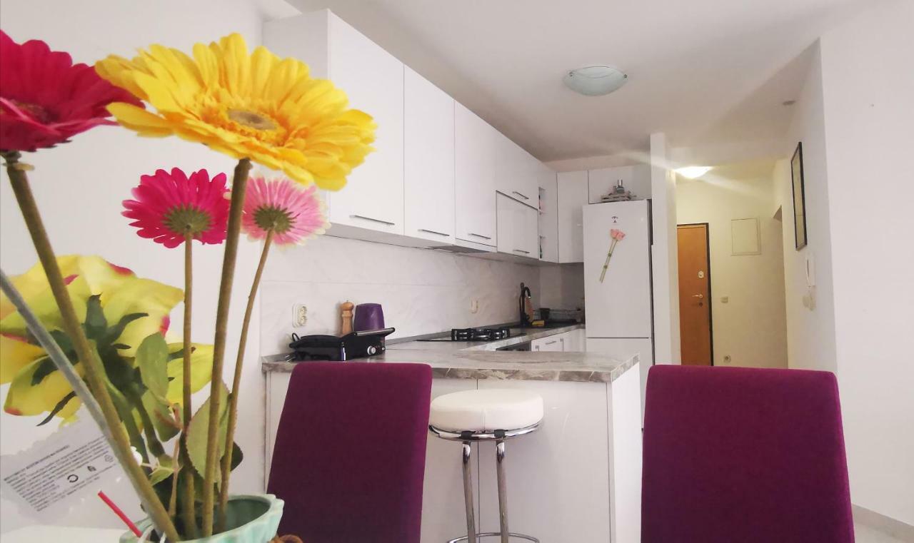 Apartment Dalmatia Μακάρσκα Εξωτερικό φωτογραφία